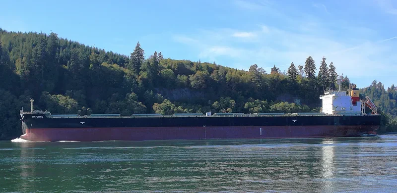 SASEBO ACE Bulk Carrier IMO 9507960 photo 4