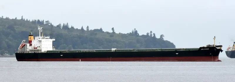 SASEBO ACE Bulk Carrier IMO 9507960 photo 9