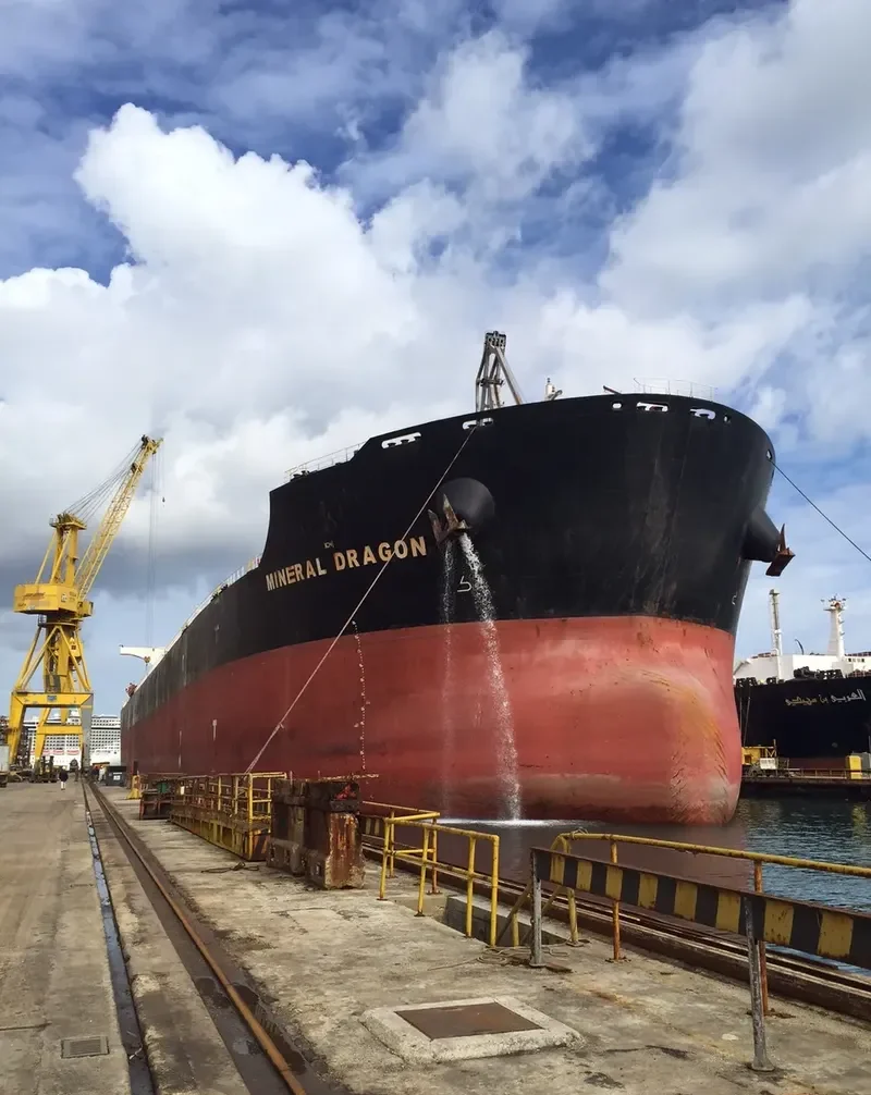 MINERAL DRAGON Bulk Carrier IMO 9508392 photo 9