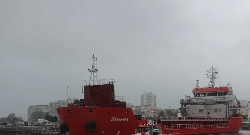 SYRENA General Cargo IMO 9508641 photo 6