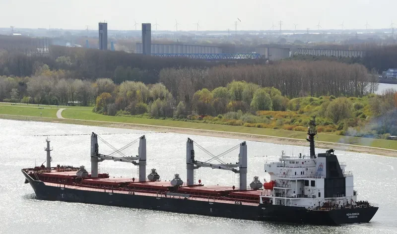 ELINA II Bulk Carrier IMO 9508706