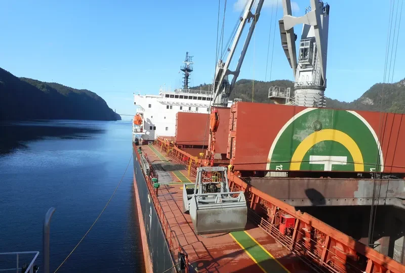 ELINA II Bulk Carrier IMO 9508706 photo 3