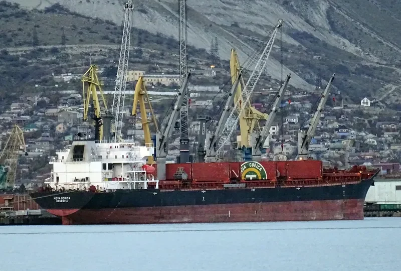 ELINA II Bulk Carrier IMO 9508706 photo 7