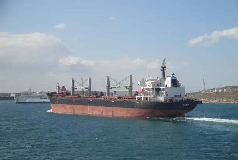 ELINA II Bulk Carrier IMO 9508706 photo 8