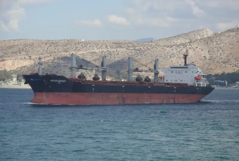 ELINA II Bulk Carrier IMO 9508706 photo 9