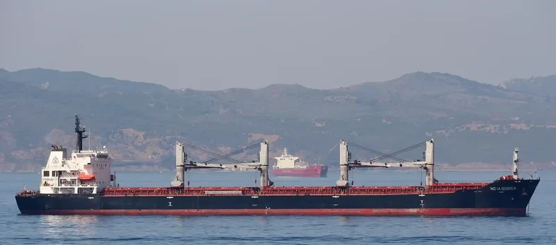 ELINA II Bulk Carrier IMO 9508706 photo 10