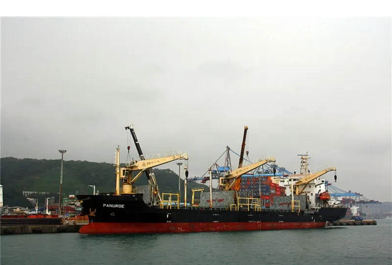 DS FLOURISH General Cargo IMO 9509085 photo 2