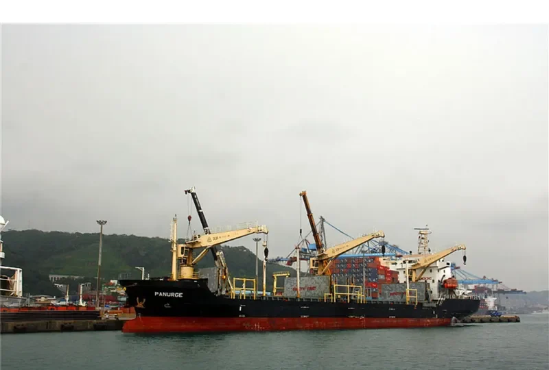 DS FLOURISH General Cargo IMO 9509085 photo 7