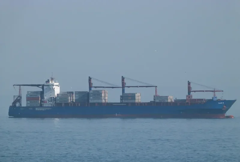FLEUR N Container Ship IMO 9509138 photo 2