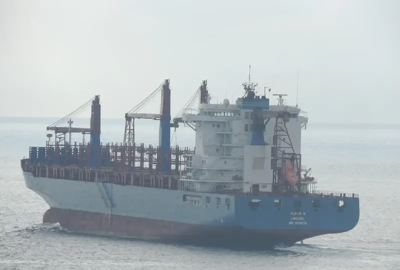FLEUR N Container Ship IMO 9509138 photo 3