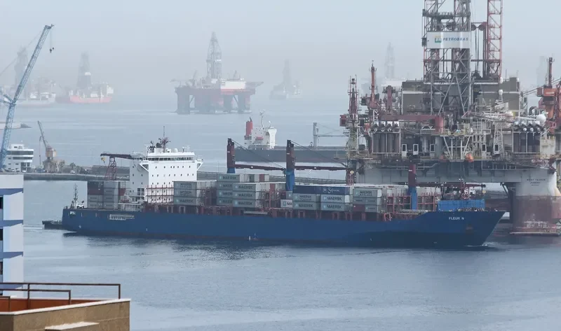 FLEUR N Container Ship IMO 9509138 photo 5