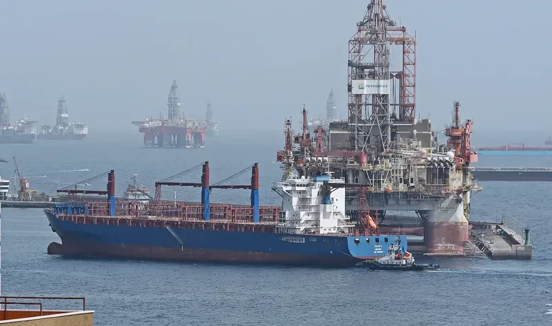 FLEUR N Container Ship IMO 9509138 photo 6