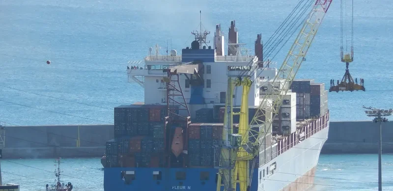 FLEUR N Container Ship IMO 9509138 photo 7