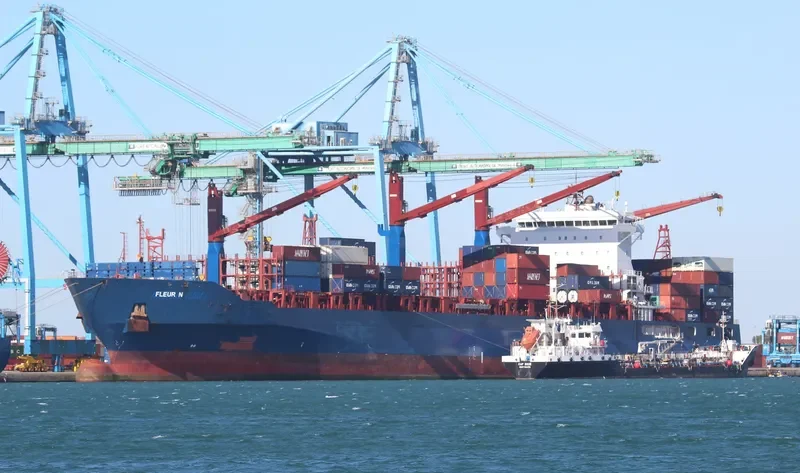 FLEUR N Container Ship IMO 9509138 photo 8