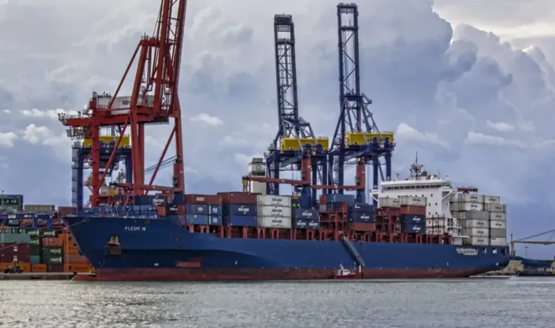 FLEUR N Container Ship IMO 9509138 photo 10