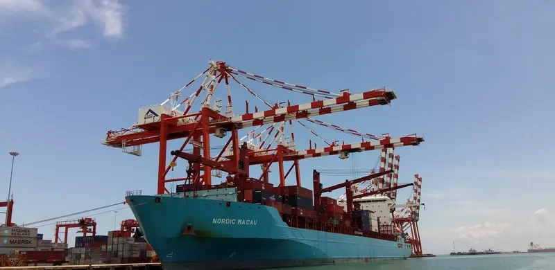 GSL ALICE Container Ship IMO 9509164 photo 3