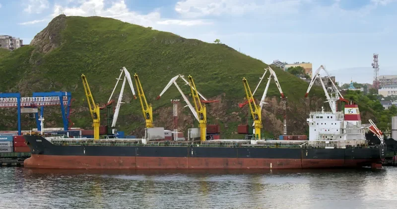 DORIS Bulk Carrier IMO 9509425 photo 4