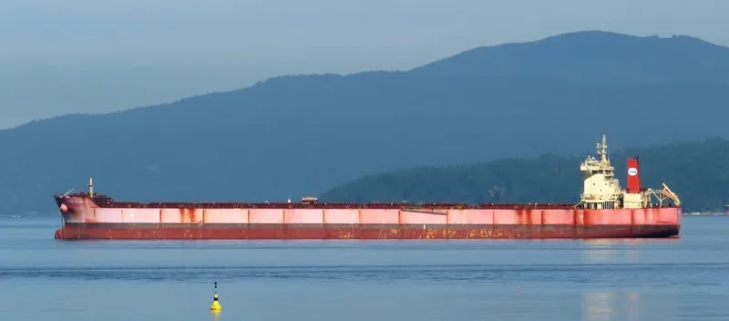 PAN CHAMPION Bulk Carrier IMO 9509499 photo 4