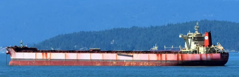 PAN CHAMPION Bulk Carrier IMO 9509499 photo 6