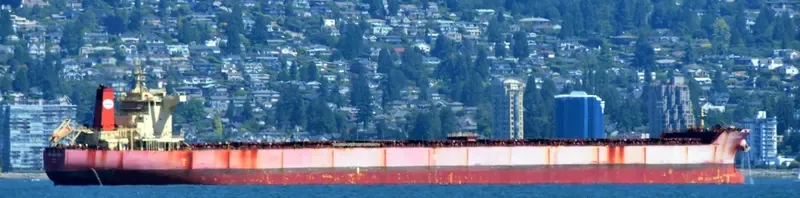 PAN CHAMPION Bulk Carrier IMO 9509499 photo 7