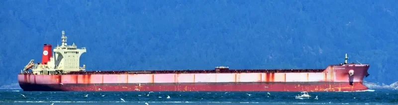 PAN CHAMPION Bulk Carrier IMO 9509499 photo 8
