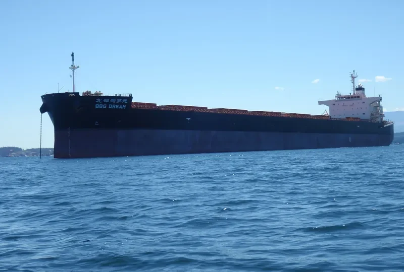 PAN CHAMPION Bulk Carrier IMO 9509499 photo 9