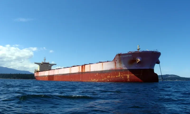 PAN CHAMPION Bulk Carrier IMO 9509499 photo 10