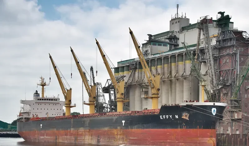 EFFY N Bulk Carrier IMO 9509516