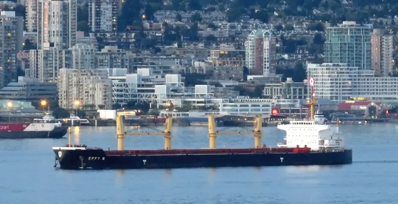 EFFY N Bulk Carrier IMO 9509516 photo 3
