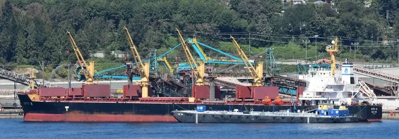 EFFY N Bulk Carrier IMO 9509516 photo 4
