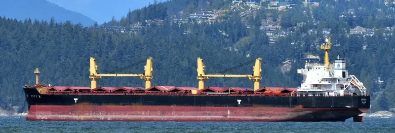 EFFY N Bulk Carrier IMO 9509516 photo 5