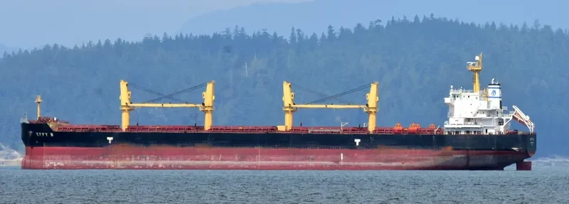 EFFY N Bulk Carrier IMO 9509516 photo 6