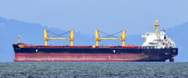 EFFY N Bulk Carrier IMO 9509516 photo 7
