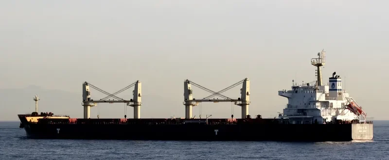EFFY N Bulk Carrier IMO 9509516 photo 8