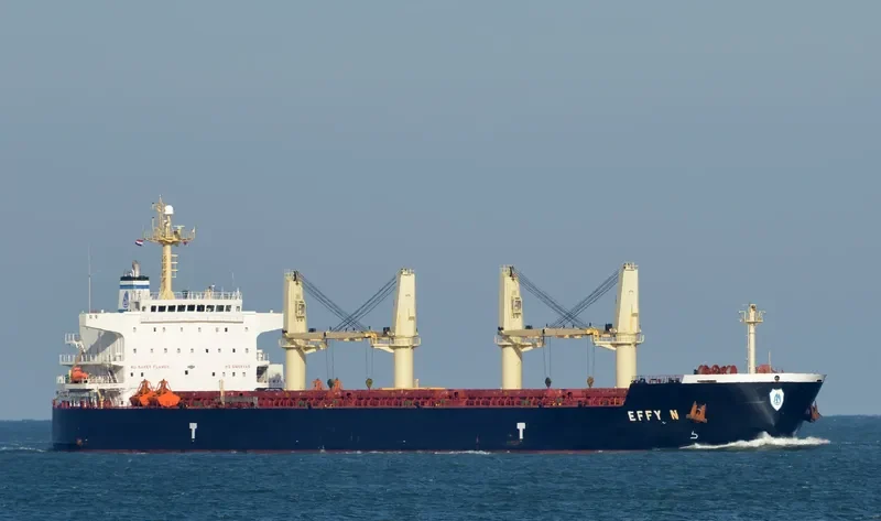 EFFY N Bulk Carrier IMO 9509516 photo 9