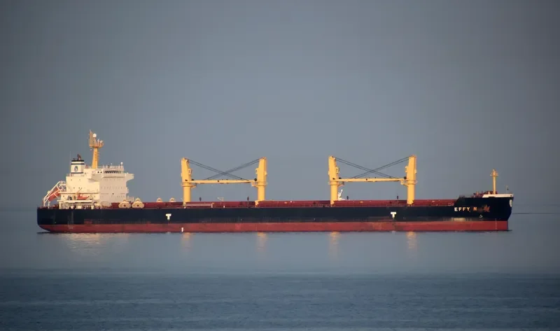EFFY N Bulk Carrier IMO 9509516 photo 10