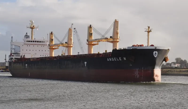 ANGELE N Bulk Carrier IMO 9509528 photo 2