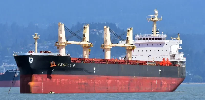 ANGELE N Bulk Carrier IMO 9509528 photo 8