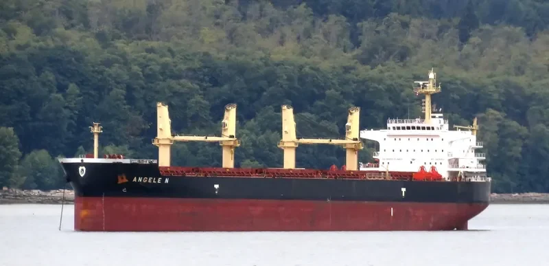 ANGELE N Bulk Carrier IMO 9509528 photo 10