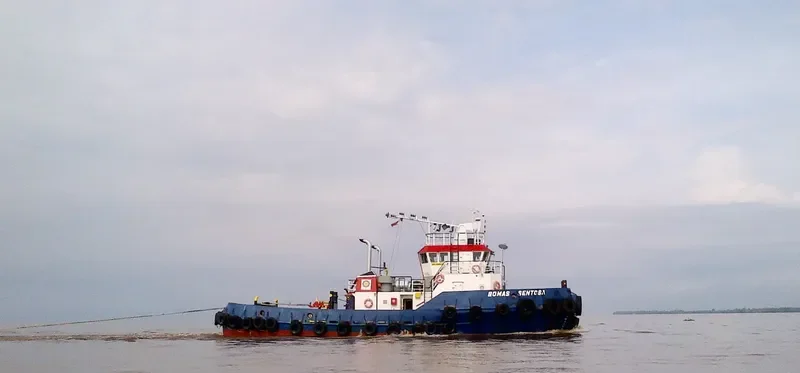 BOMAS SENTOSA General Cargo IMO 9509736 photo 4