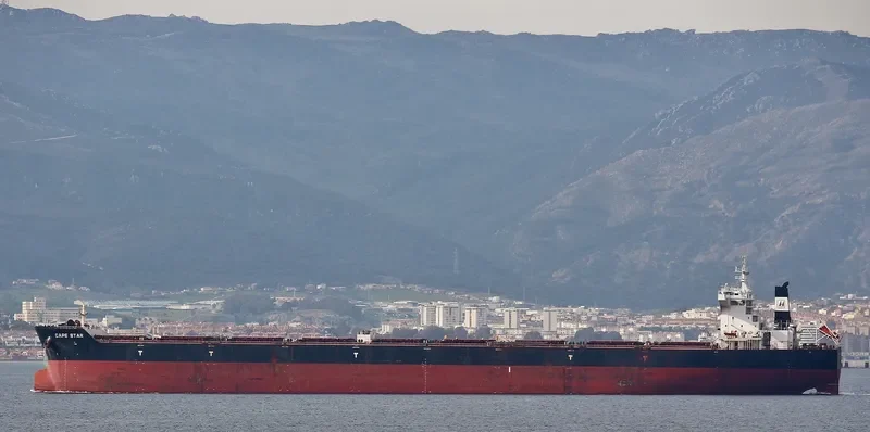 CAPE STAR Bulk Carrier IMO 9509748
