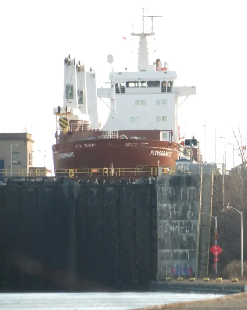 FLEVOGRACHT General Cargo IMO 9509956 photo 10