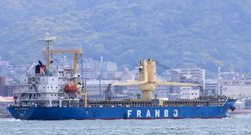 FRANBO PROGRESS General Cargo IMO 9510034 photo 4