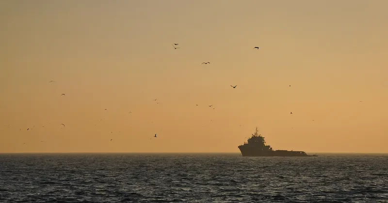 MED SILVER Offshore Vessel IMO 9510228 photo 7