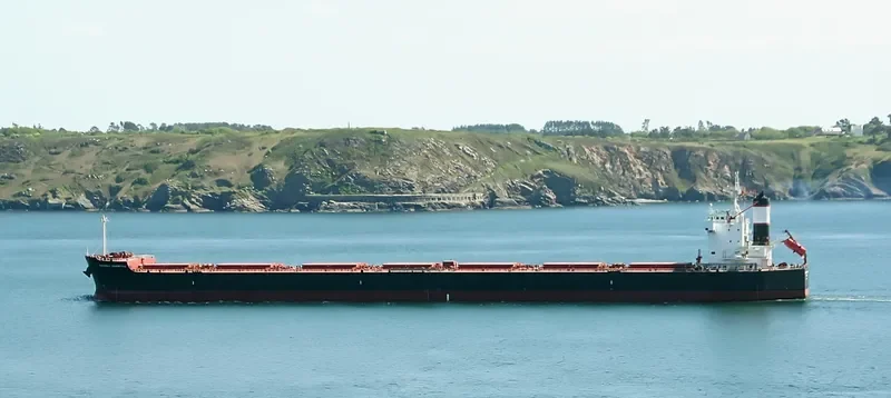PANAMAX CHRISTINA Bulk Carrier IMO 9510319 photo 6