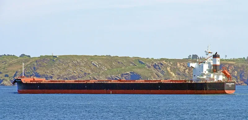PANAMAX CHRISTINA Bulk Carrier IMO 9510319 photo 8