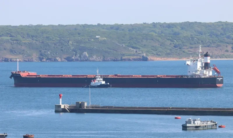 PANAMAX CHRISTINA Bulk Carrier IMO 9510319 photo 10