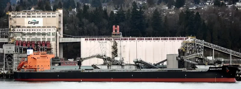 ROSCO LITCHI Bulk Carrier IMO 9510333 photo 2