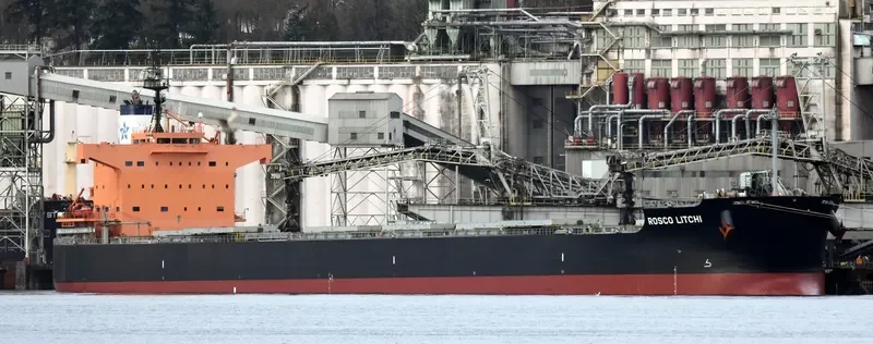 ROSCO LITCHI Bulk Carrier IMO 9510333 photo 3