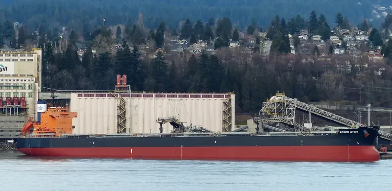ROSCO LITCHI Bulk Carrier IMO 9510333 photo 4